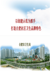 杭州会议-合肥市社区卫生服务示范建设经验交流