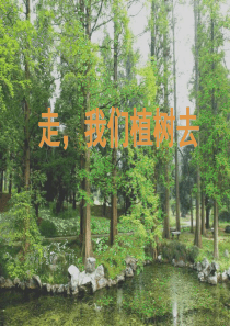 1《走_我们去植树》PPT课件