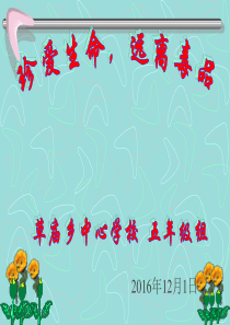 小学生毒品预防教育ppt：五年级