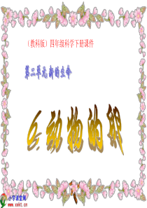 《动物的卵》ppt课件