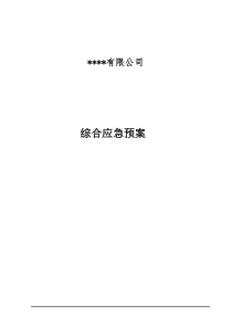 某某公司综合应急预案