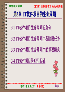 第3章  IT软件项目的生命周期