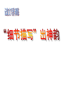 细节描写教学PPT