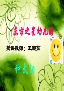 青岛幼儿网音乐课种太阳