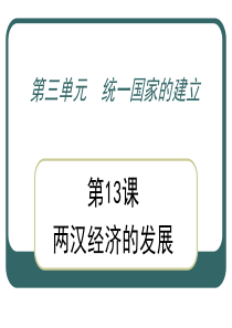 初一历史两汉经济的发展