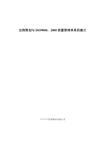 过程策划与体系建立