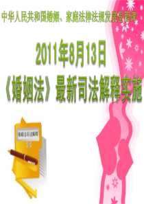 专题：新婚姻法,保险