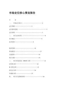 郑州某项目市场定位核心策划报告
