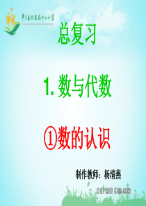 总复习数与代数之①数的认识PPT