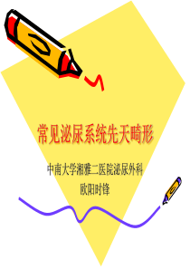 常见泌尿系统先天畸形