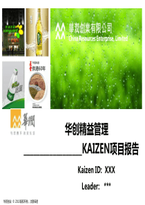 华润KAIZEN项目报告