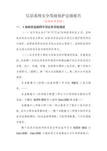 定级报告模板范例