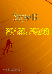 第13章管理产品线,品牌和包装