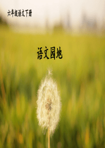 部编人教版六年级语文下册第五单元《语文园地五》优秀课件