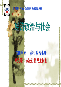 经济政治与社会第九课---副本