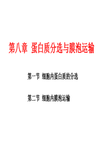 第八章--蛋白质分选与膜泡运输