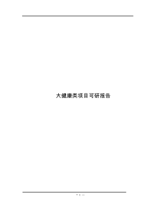 大健康类项目可研报告