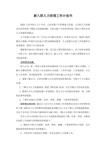 新入职人力经理工作计划书