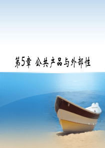 第5章 公共产品与外部性