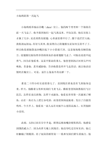小海鸥的第一次起飞