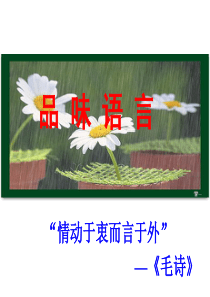 《听听那冷雨》的语言特点归纳
