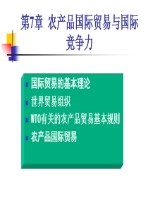 第7章农产品国际贸易与国际竞争力