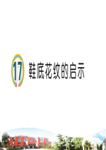 17鞋底花纹的启示教学课件