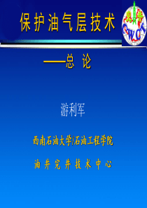 保护储层技术总论