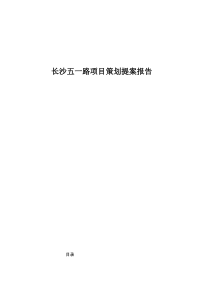 长沙五一路项目策划提案报告47(1)