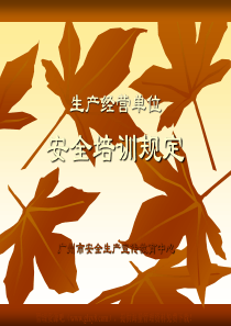 生产经营单位安全培训规定-共69页