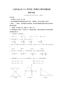 2019中考金山区初三数学一模及答案