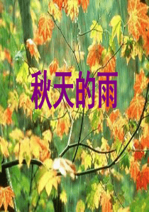 11课《秋天的雨》PPT课件  好