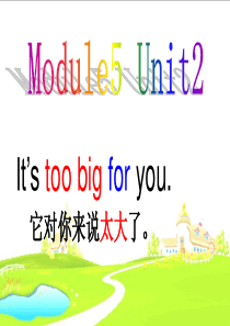 外研版五年级英语下册模块5It’s_too_big_for_you课件
