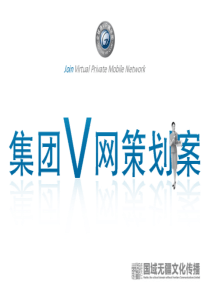 集团V网推广策划案
