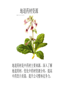 道地药材