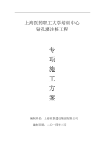 钻孔灌注桩专项施工方案(2)