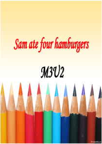 外研版五年级英语M3U2 Sam ate four hamburgers