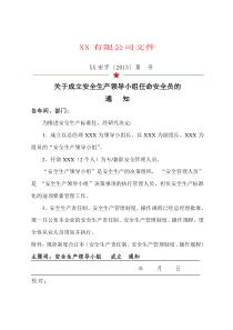 (红头)设立安全生产领导小组文件