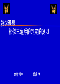 相似三角形判定复习小结[1]