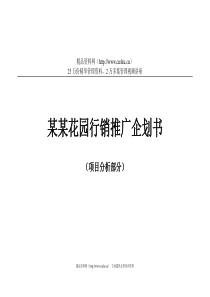 项目策划2分析