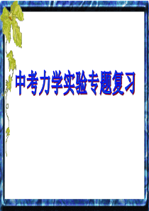中考物理力学实验专题复习课件 (免费下载)