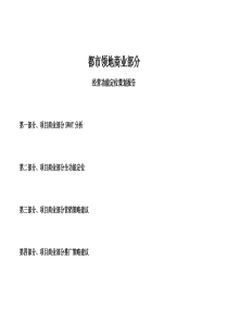 领地商业部分经营功能定位策划报告
