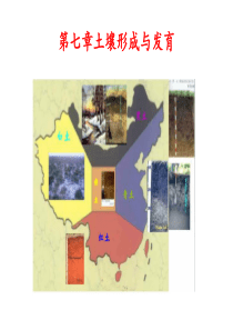 土壤形成与发育
