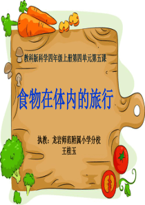 《食物在体内的旅行》1PPT课件