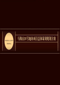 马鞍山滨江新区31号地块投资策划一号方案