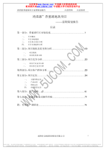 鸿荣源项目前期策划报告（初稿）（推荐PDF79）