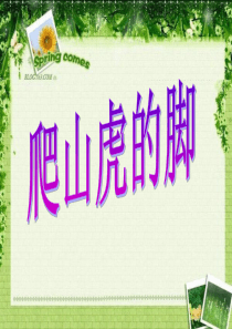 _爬山虎的脚课件