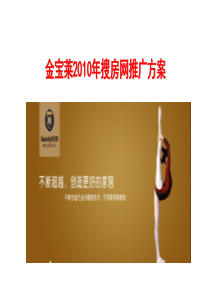 2010年度网络营销案