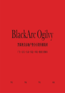 黑弧奥美-保利西海岸XXXX年度推广