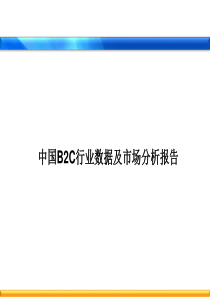中国B2C行业数据及市场分析报告简版(PPT-101页)